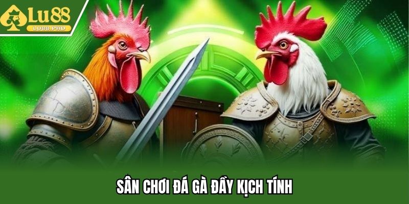 Sân chơi đá gà đầy kịch tính